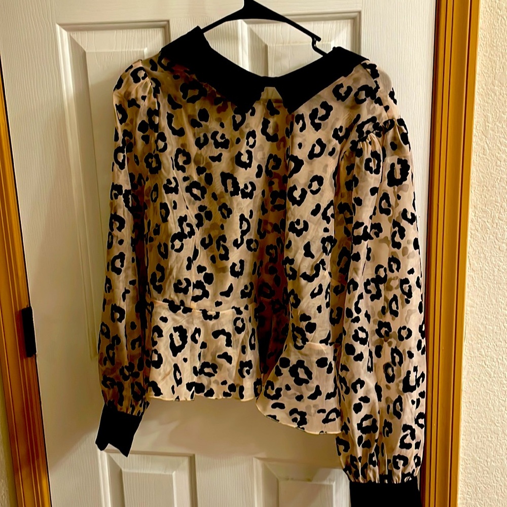 2X plus size sheer/black top